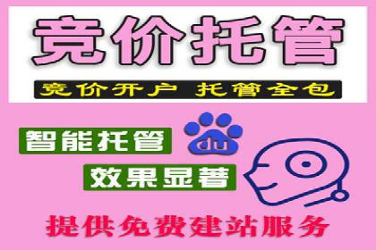 百度推广运营技巧揭秘：实战案例分析